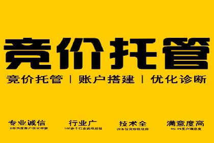 SEM竞价代运营公司案例深度解析